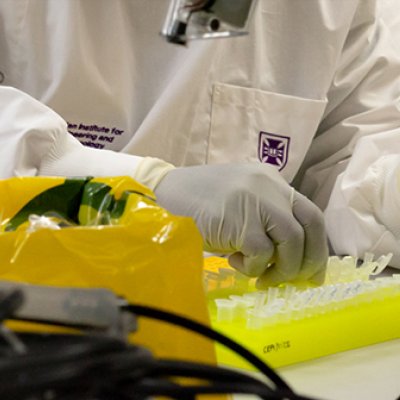 a close up shows a researcher working at a lab bench 